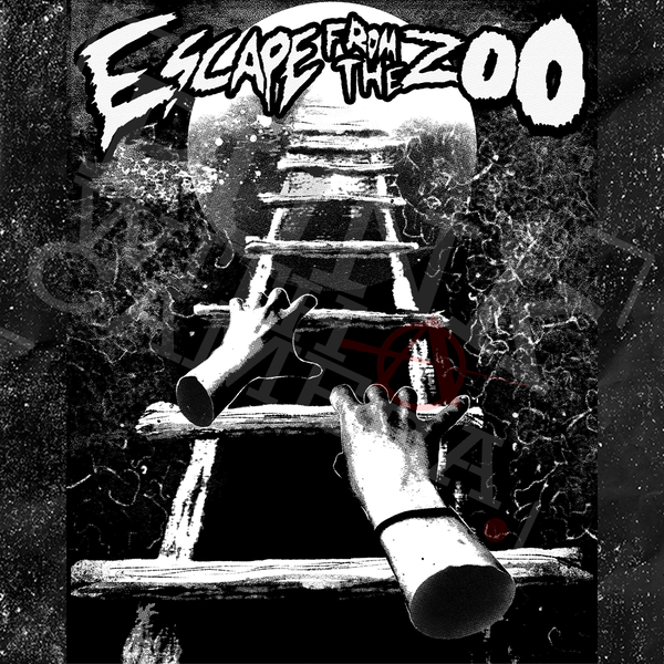 Escape From The ZOO - Ladder