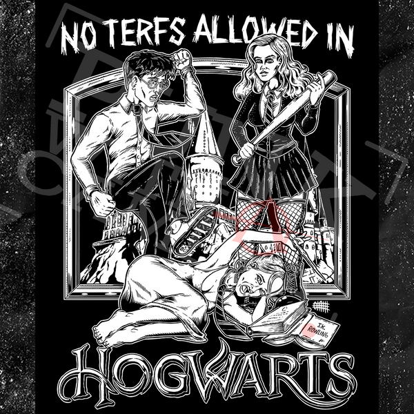 No Terfs Allowed In Hogwarts - Sticker (3X3)