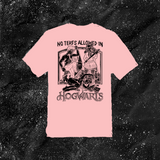 No Terfs Allowed In Hogwarts - Color T-shirt