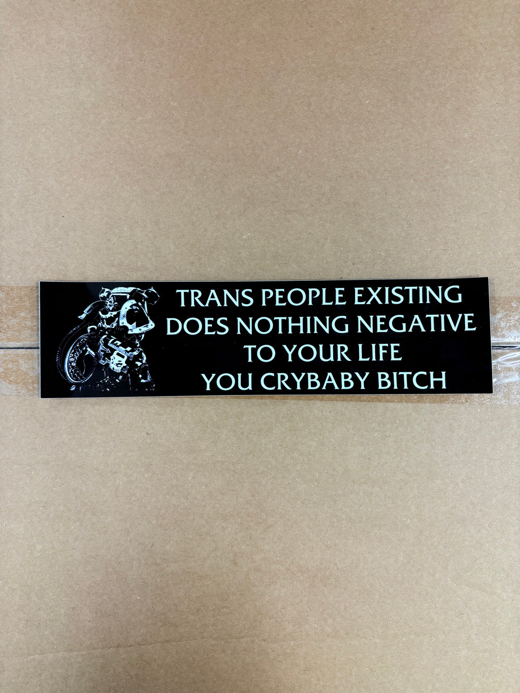 Chaos Marine Trans people Existing Does Nothing Negative To Your Life You Cry Baby Bitch 40k - Bumper Sticker (11.5X3)