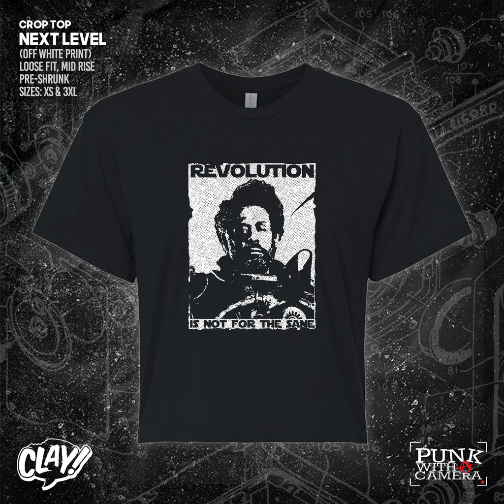 Revolution Is Not For The Sane - Clay Graham