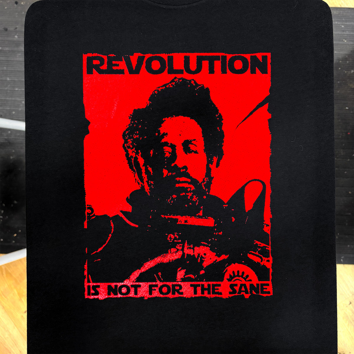 Revolution Is Not For The Sane - Clay Graham