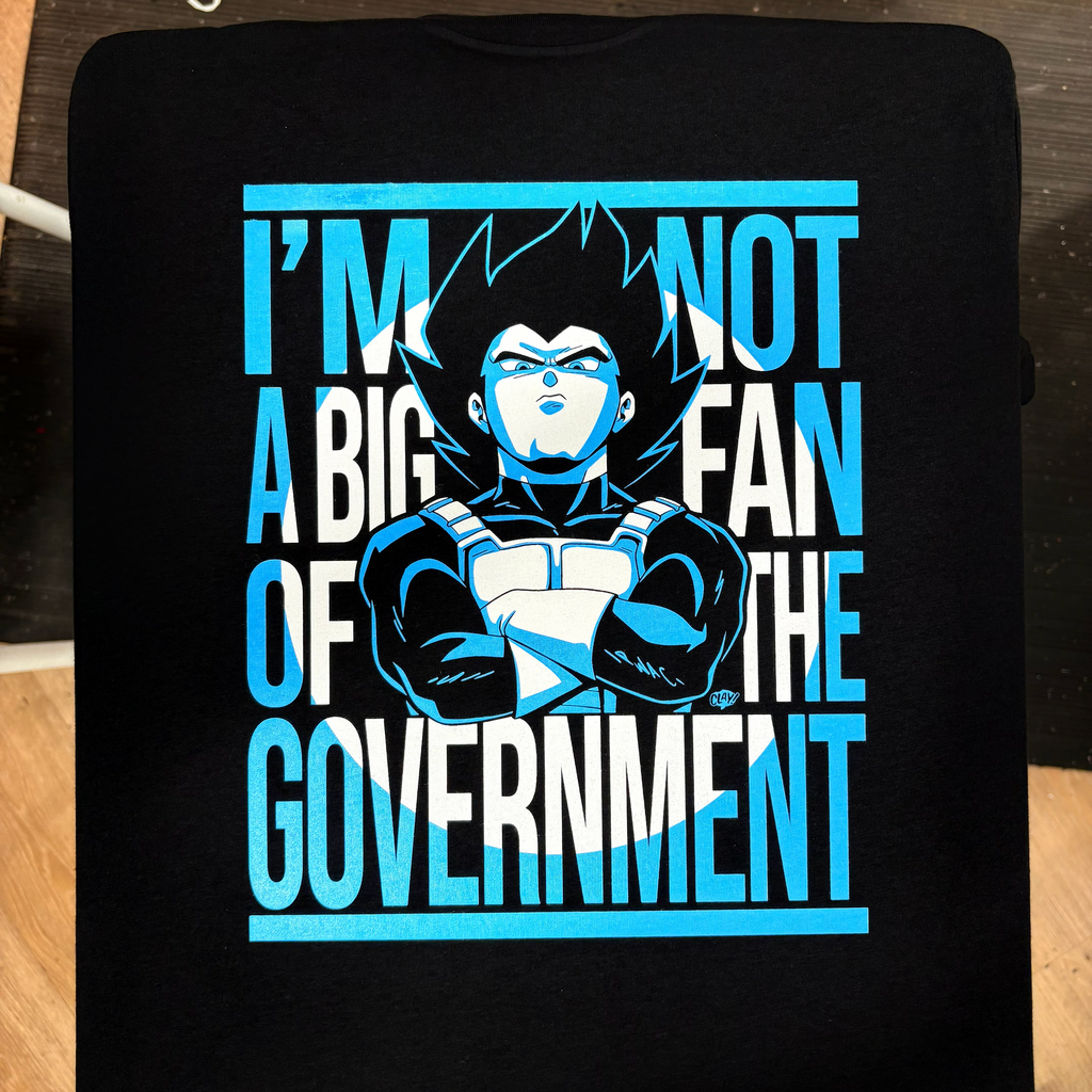 I Am Not A Big Fan Of The Government - Clay Graham