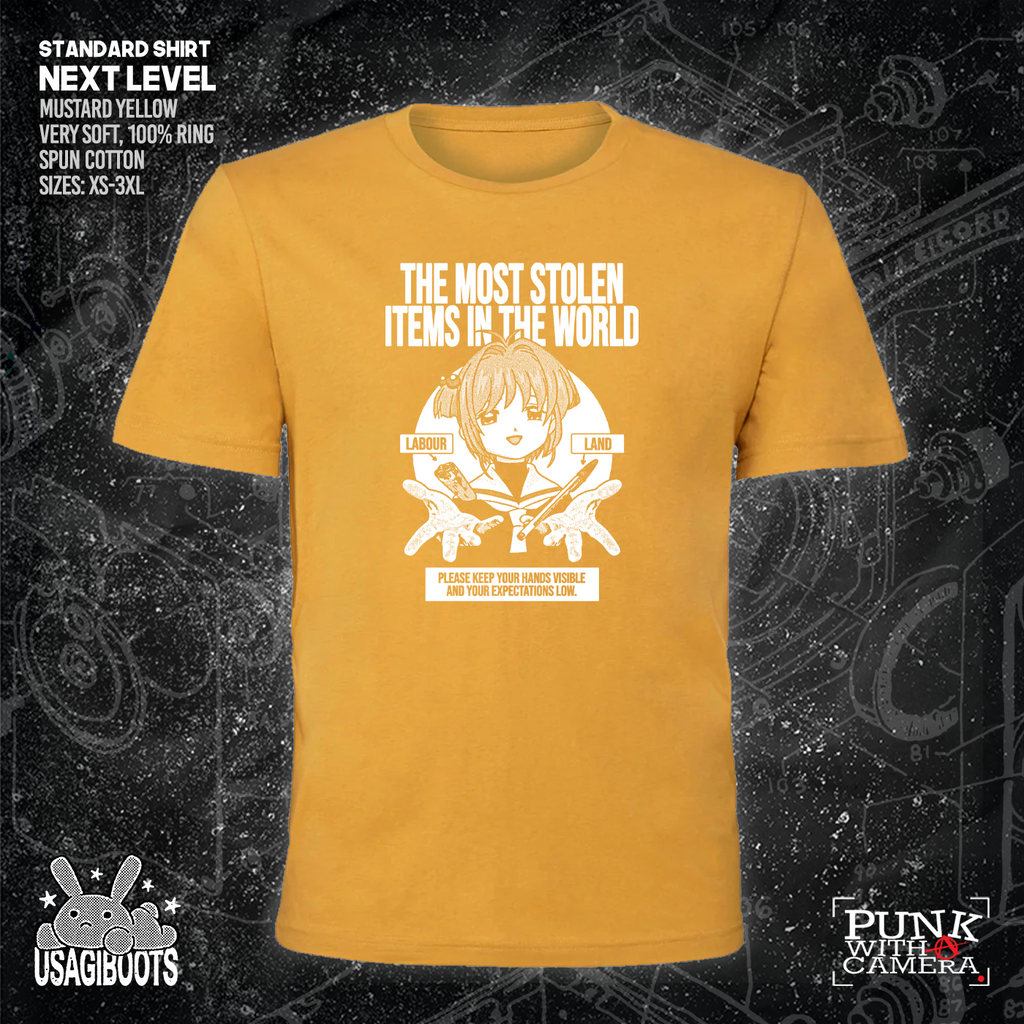 The Most Stolen Items In The World - Usagi Boots