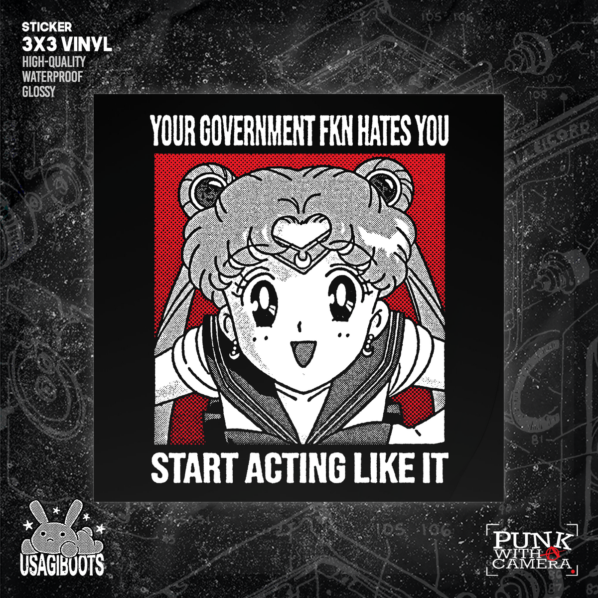 Your Government Fucking Hates You -  Sticker (3X3)