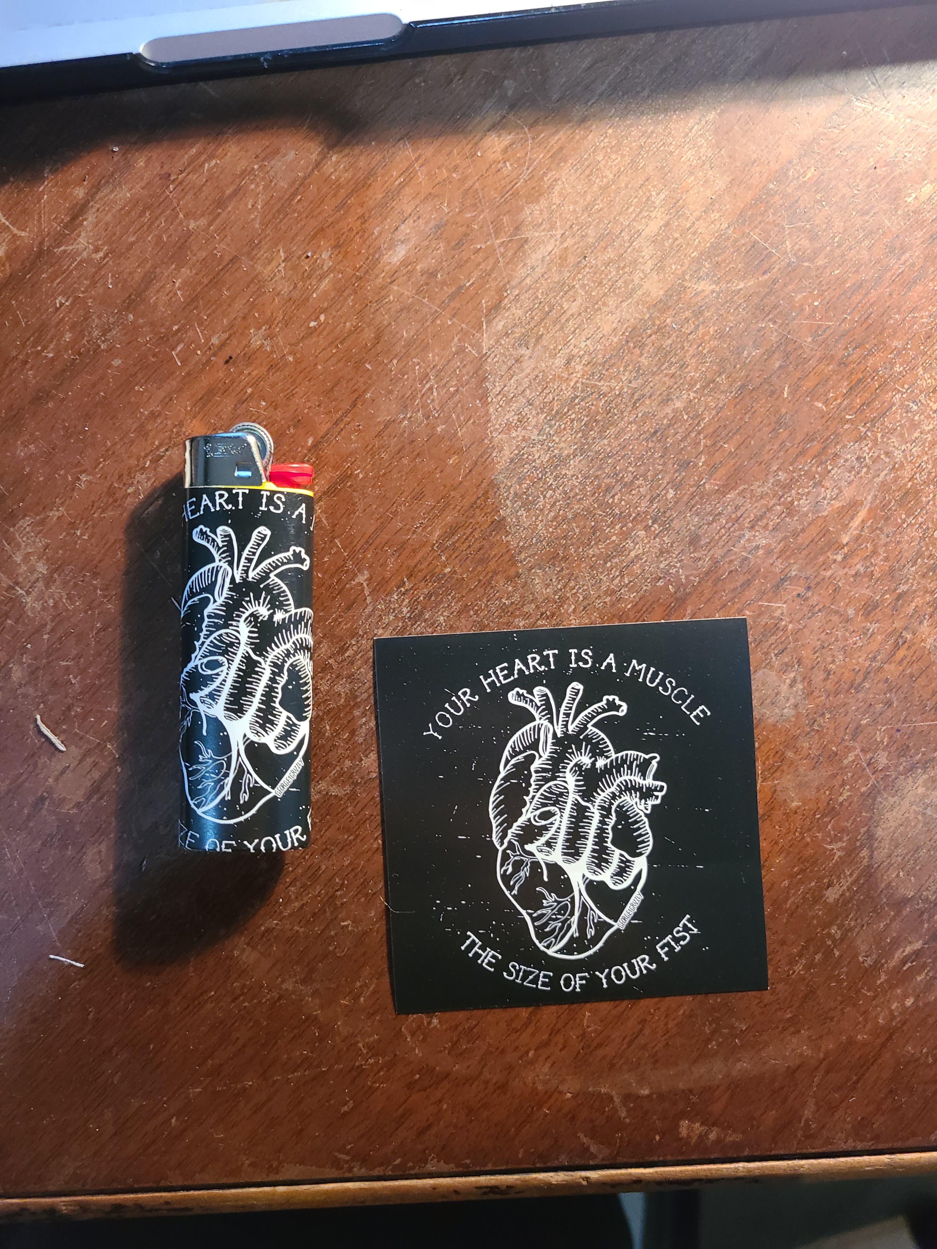 Heart Is A muscle the size of your fist  - Lighter