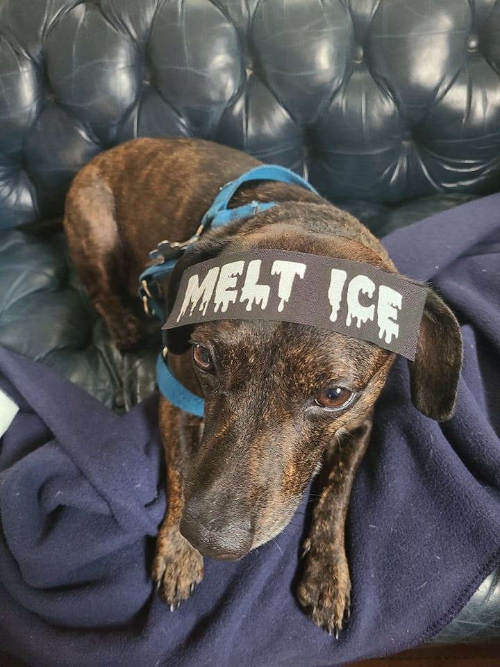 Melt ICE. - Patch (1.5x4)