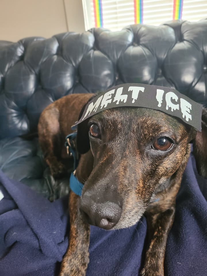 Melt ICE. - Patch (1.5x4)