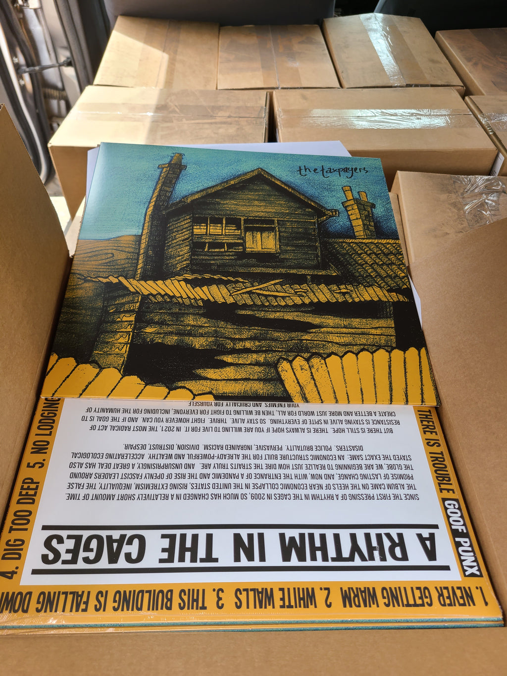 The Taxpayers - A a Rhythm In The Cages - Vinyl Physical Media