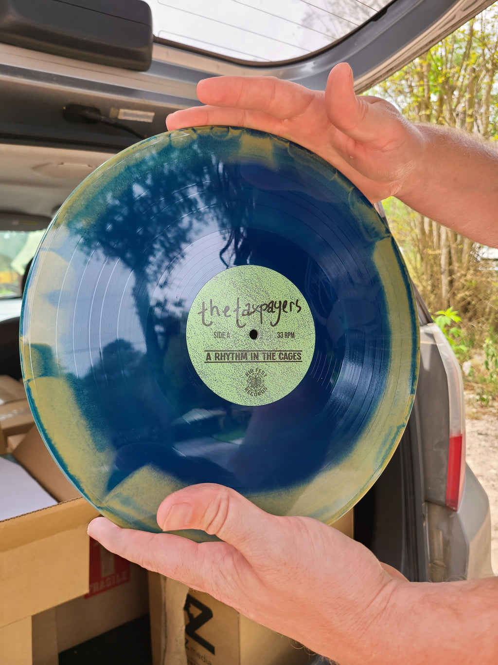 The Taxpayers - A a Rhythm In The Cages - Vinyl Physical Media