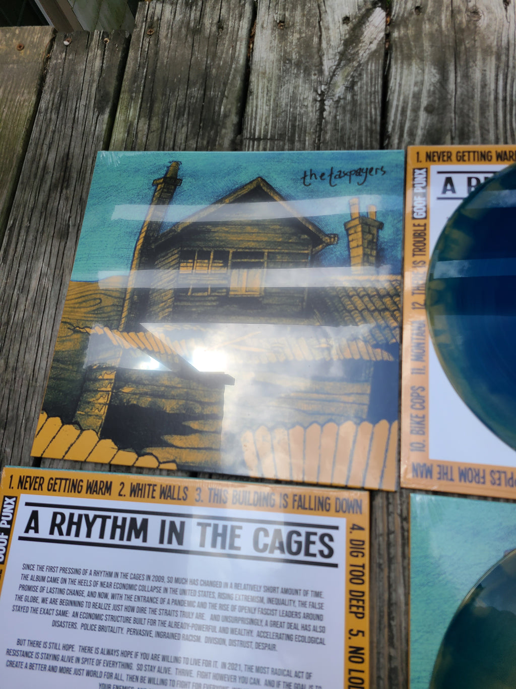 The Taxpayers - A a Rhythm In The Cages - Vinyl Physical Media