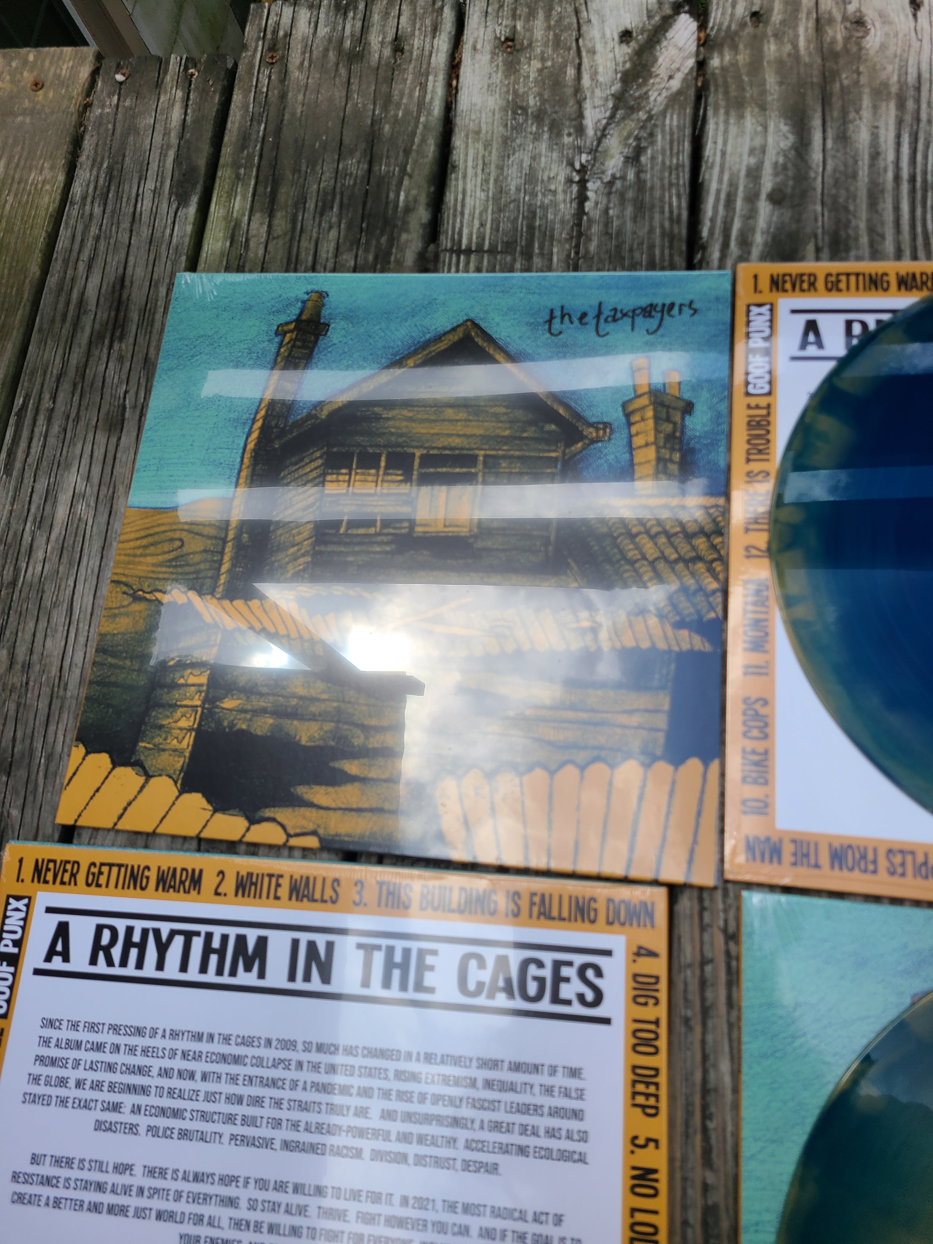 The Taxpayers - A a Rhythm In The Cages - Vinyl Physical Media