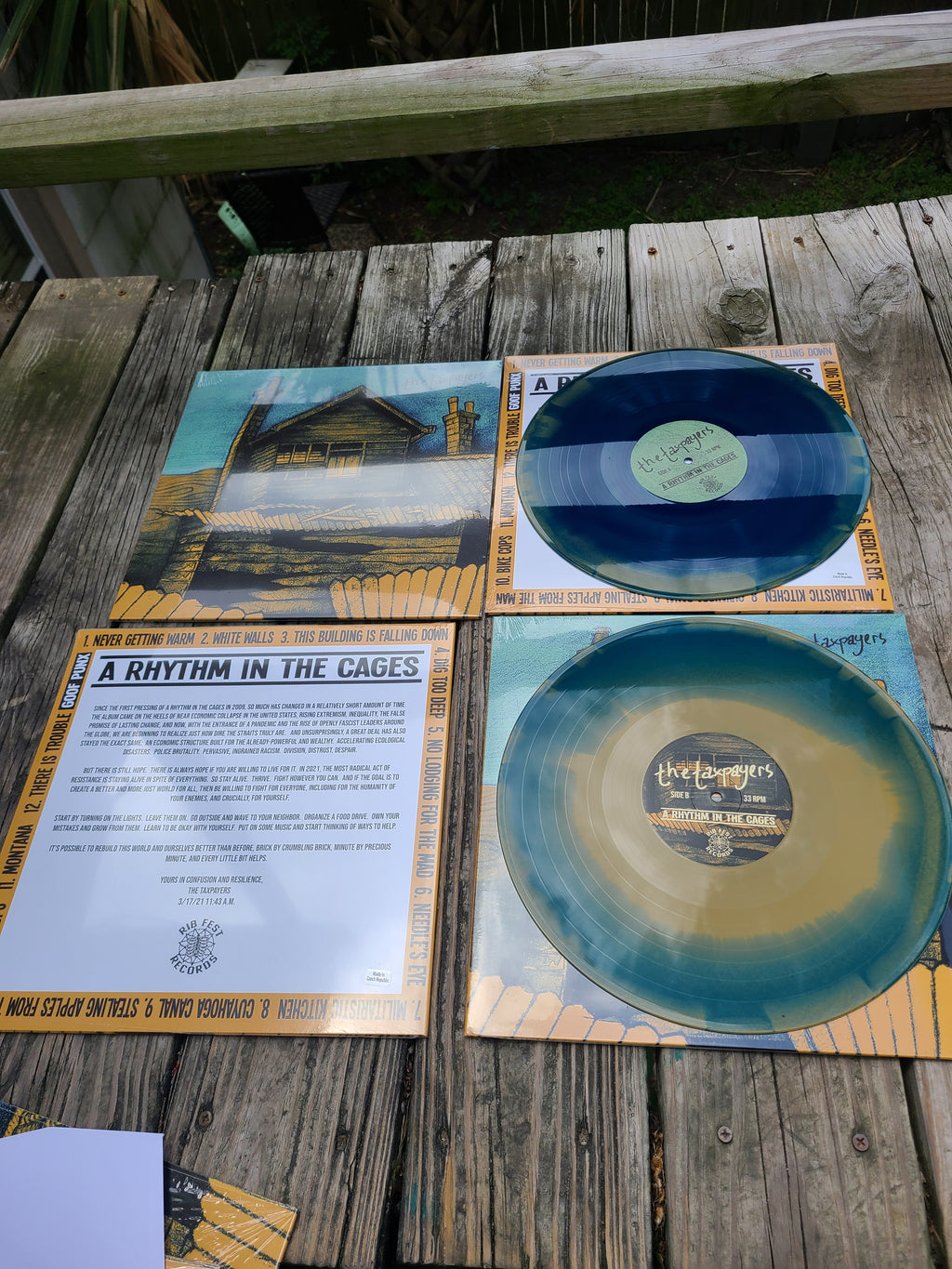 The Taxpayers - A a Rhythm In The Cages - Vinyl Physical Media