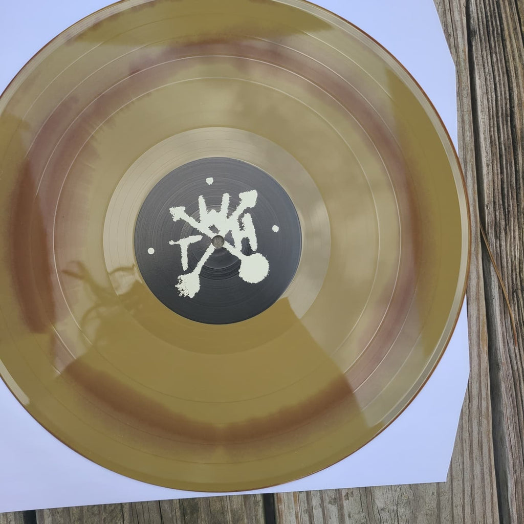 We The Heathens - Regicide - Vinyl Physical Media